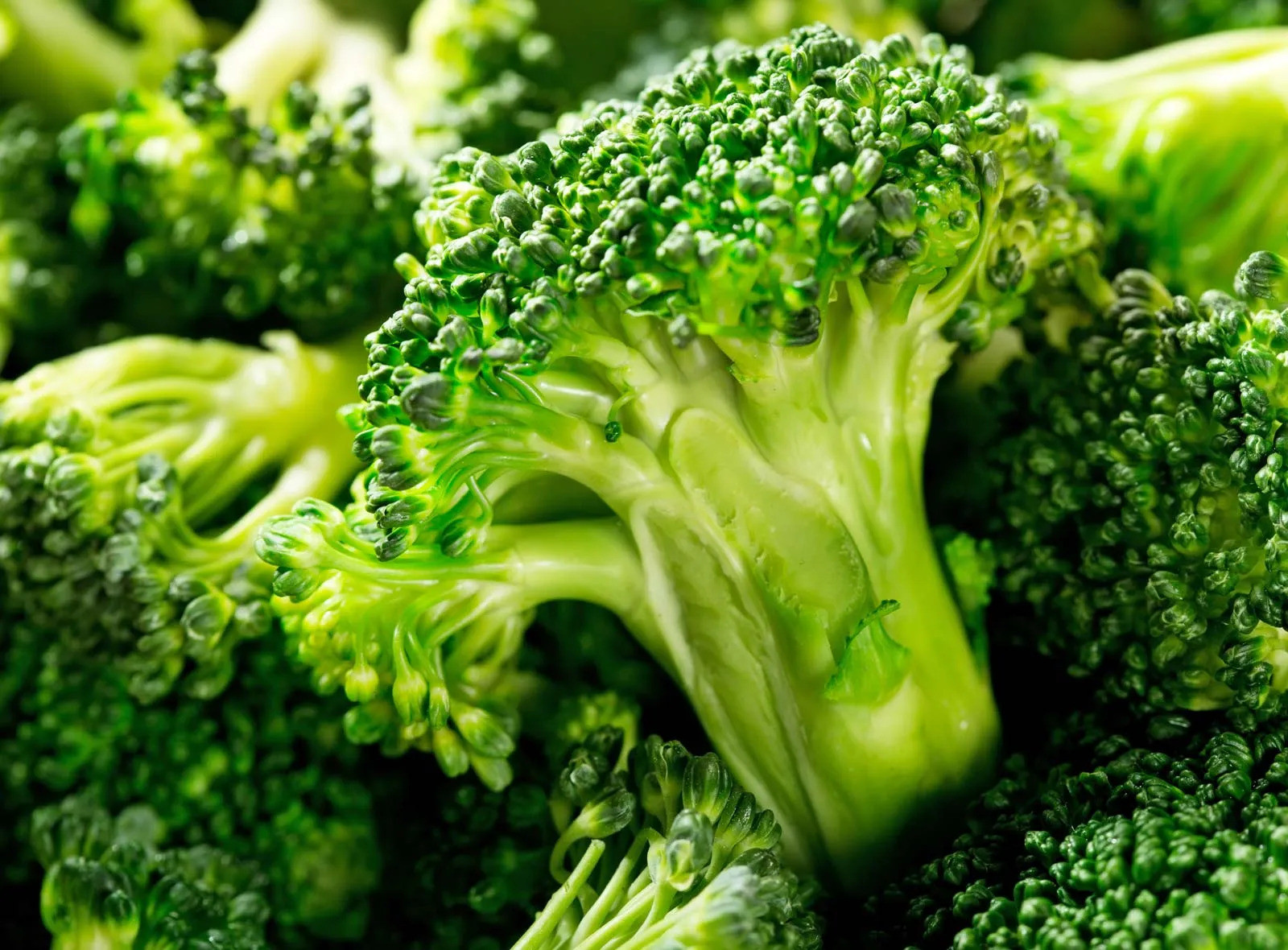 Bạn nên kết hợp thêm rau xanh để tăng giá trị dinh dưỡng