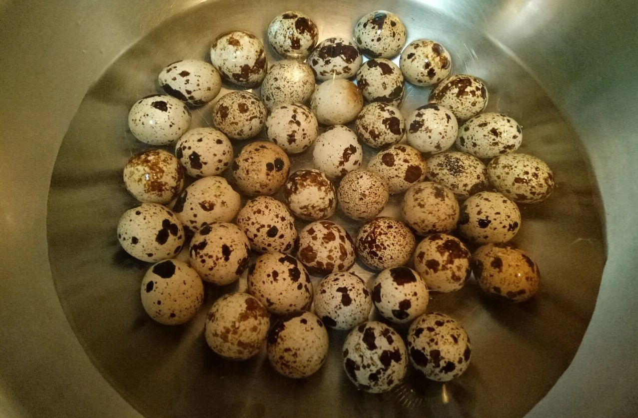 Luộc trứng cút chín thì vớt ra tô nước lạnh để làm nguội