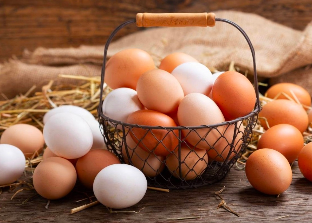 Ăn nhiều trứng có thể cải thiện chỉ số Cholesterol
