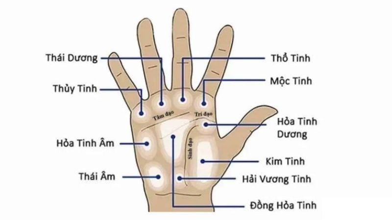 Khám phá vị trí nốt ruồi ở lòng bàn tay